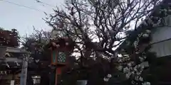 女化神社(茨城県)