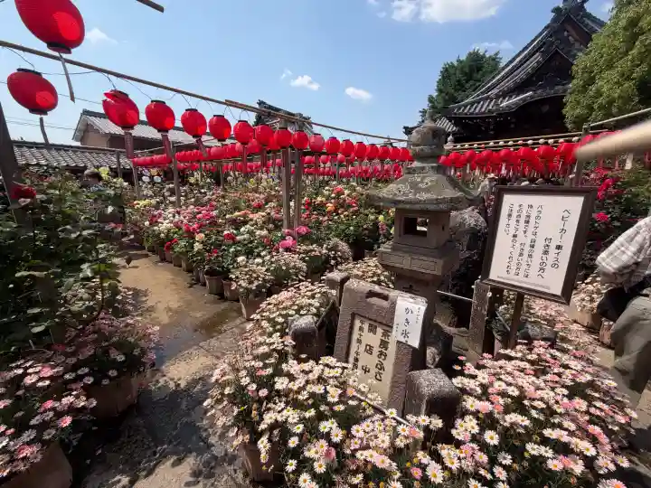 おふさ観音(観音寺)の{uncategorized: "未分類", other: "その他", undefined: "問題あり", building: "その他建物", grave: "お墓", sacred_gate: "鳥居", guardian: "狛犬", statue: "像", buddha: "仏像", history: "歴史", nature: "自然", garden: "庭園", animal: "動物", pagoda: "塔", temizu: "手水舎", mountain_gate: "山門・神門", sanctuary: "本殿・本堂", subordinate: "末社・摂社", art: "芸術", scenery: "景色", jizo: "地蔵", ema: "絵馬", goshuin: "御朱印", omikuji: "おみくじ", items: "授与品その他", amulet: "お守り", goshuincho: "御朱印帳", eats: "食事", festival: "お祭り", votive_dance: "神楽", shichigosan: "七五三参", wedding: "結婚式", experience: "体験その他", initially: "初詣", around: "周辺", anti_infection: "感染症対策"}