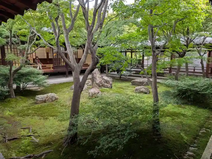 建仁寺(建仁禅寺)(京都府)