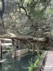 鹿島神宮(茨城県)