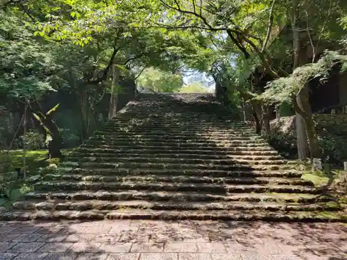 竹林寺の建物その他