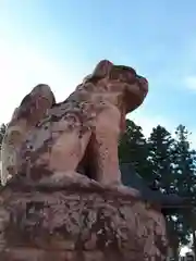 金谷神社の狛犬