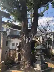 徳庵神社(大阪府)