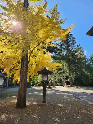鎮守府八幡宮(岩手県)