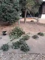 酒門神社(茨城県)