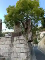 五宮神社の建物その他