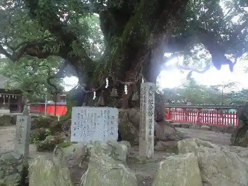 宇美八幡宮の歴史