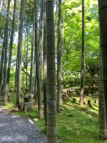 圓光寺のその他建物