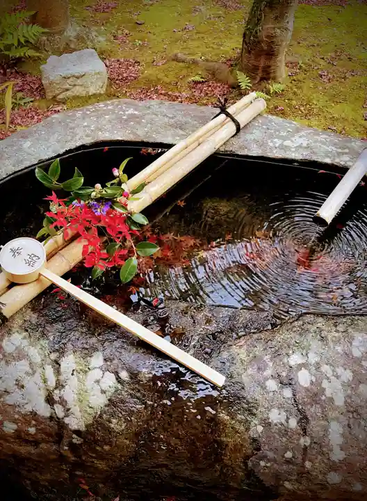 真正極楽寺(真如堂)の手水舎