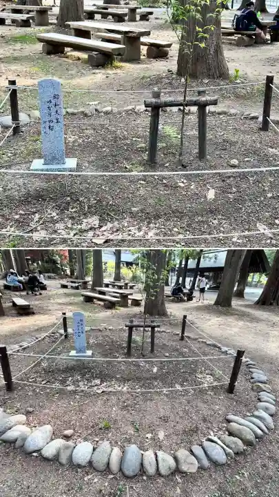 北海道神宮の自然