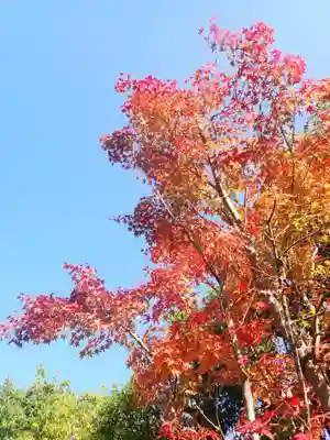 杉本寺(神奈川県)