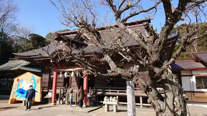 大洗磯前神社の本殿・本堂