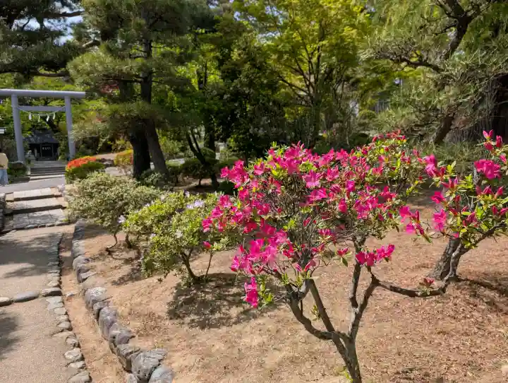開成山大神宮の{uncategorized: "未分類", other: "その他", undefined: "問題あり", building: "その他建物", grave: "お墓", sacred_gate: "鳥居", guardian: "狛犬", statue: "像", buddha: "仏像", history: "歴史", nature: "自然", garden: "庭園", animal: "動物", pagoda: "塔", temizu: "手水舎", mountain_gate: "山門・神門", sanctuary: "本殿・本堂", subordinate: "末社・摂社", art: "芸術", scenery: "景色", jizo: "地蔵", ema: "絵馬", goshuin: "御朱印", omikuji: "おみくじ", items: "授与品その他", amulet: "お守り", goshuincho: "御朱印帳", eats: "食事", festival: "お祭り", votive_dance: "神楽", shichigosan: "七五三参", wedding: "結婚式", experience: "体験その他", initially: "初詣", around: "周辺", anti_infection: "感染症対策"}