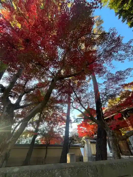 三寳寺(東京都)