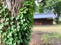 吉田神社(長野県)