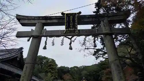 出雲大神宮(京都府)