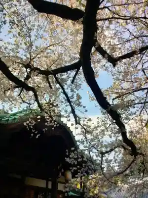 龍光寺(東京都)