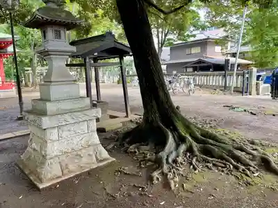 秋津神社(東京都)