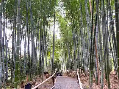 高台寺（高台寿聖禅寺・高臺寺）(京都府)