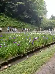 明月院(神奈川県)