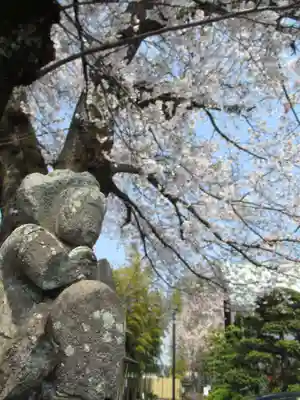 真光寺(千葉県)