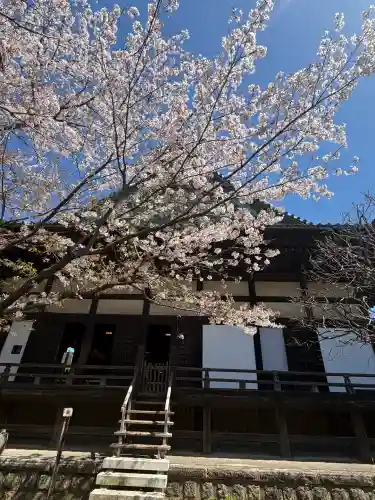 宝戒寺の{uncategorized: "未分類", other: "その他", undefined: "問題あり", building: "その他建物", grave: "お墓", sacred_gate: "鳥居", guardian: "狛犬", statue: "像", buddha: "仏像", history: "歴史", nature: "自然", garden: "庭園", animal: "動物", pagoda: "塔", temizu: "手水舎", mountain_gate: "山門・神門", sanctuary: "本殿・本堂", subordinate: "末社・摂社", art: "芸術", scenery: "景色", jizo: "地蔵", ema: "絵馬", goshuin: "御朱印", omikuji: "おみくじ", items: "授与品その他", amulet: "お守り", goshuincho: "御朱印帳", eats: "食事", festival: "お祭り", votive_dance: "神楽", shichigosan: "七五三参", wedding: "結婚式", experience: "体験その他", initially: "初詣", around: "周辺", anti_infection: "感染症対策"}
