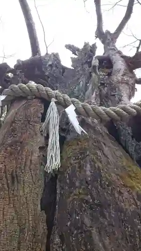 新田神社(東京都)