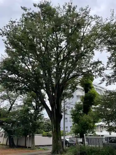 天祖神社(東京都)