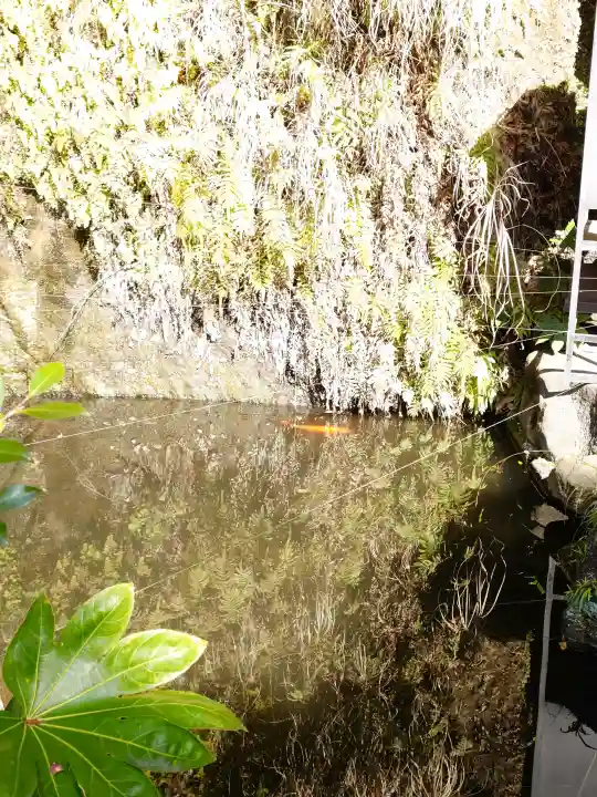銭洗弁財天宇賀福神社の{uncategorized: "未分類", other: "その他", undefined: "問題あり", building: "その他建物", grave: "お墓", sacred_gate: "鳥居", guardian: "狛犬", statue: "像", buddha: "仏像", history: "歴史", nature: "自然", garden: "庭園", animal: "動物", pagoda: "塔", temizu: "手水舎", mountain_gate: "山門・神門", sanctuary: "本殿・本堂", subordinate: "末社・摂社", art: "芸術", scenery: "景色", jizo: "地蔵", ema: "絵馬", goshuin: "御朱印", omikuji: "おみくじ", items: "授与品その他", amulet: "お守り", goshuincho: "御朱印帳", eats: "食事", festival: "お祭り", votive_dance: "神楽", shichigosan: "七五三参", wedding: "結婚式", experience: "体験その他", initially: "初詣", around: "周辺", anti_infection: "感染症対策"}