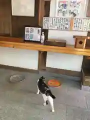 玉野御嶽神社の動物