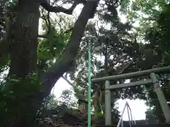 森浅間神社の自然