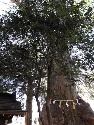 沓掛香取神社の自然