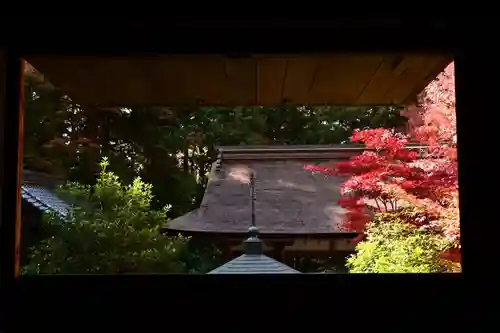 金剛輪寺(滋賀県)