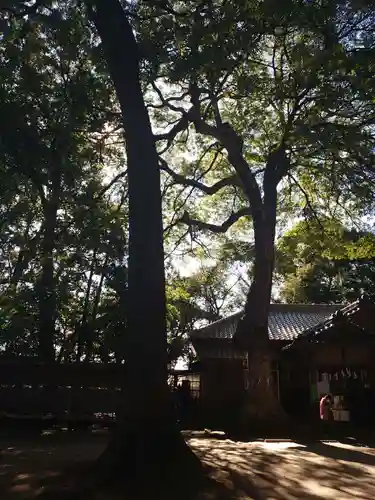 氷川女體神社のその他建物