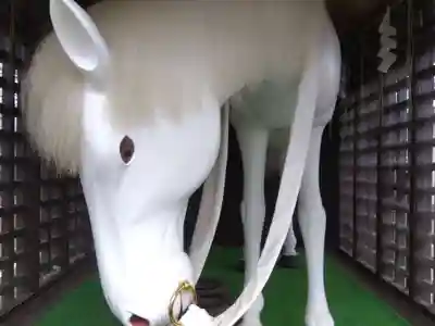 日枝神社(新潟県)