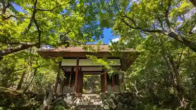 常寂光寺の山門・神門