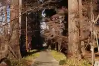 八幡宮の{uncategorized: "未分類", other: "その他", undefined: "問題あり", building: "その他建物", grave: "お墓", sacred_gate: "鳥居", guardian: "狛犬", statue: "像", buddha: "仏像", history: "歴史", nature: "自然", garden: "庭園", animal: "動物", pagoda: "塔", temizu: "手水舎", mountain_gate: "山門・神門", sanctuary: "本殿・本堂", subordinate: "末社・摂社", art: "芸術", scenery: "景色", jizo: "地蔵", ema: "絵馬", goshuin: "御朱印", omikuji: "おみくじ", items: "授与品その他", amulet: "お守り", goshuincho: "御朱印帳", eats: "食事", festival: "お祭り", votive_dance: "神楽", shichigosan: "七五三参", wedding: "結婚式", experience: "体験その他", initially: "初詣", around: "周辺", anti_infection: "感染症対策"}