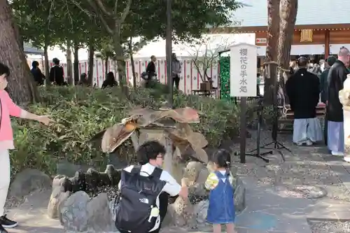 櫻木神社(千葉県)