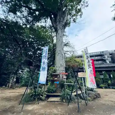 敷島神社(埼玉県)