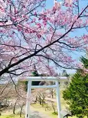 土津神社｜こどもと出世の神さまの鳥居