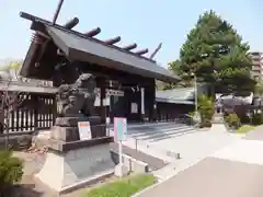 札幌護國神社の狛犬