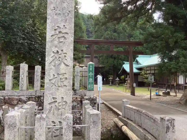 若狭姫神社(若狭彦神社下社)の鳥居