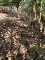 神社(名称不明)の自然