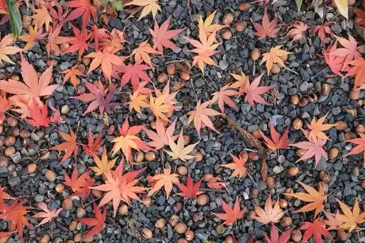 豊景神社の自然