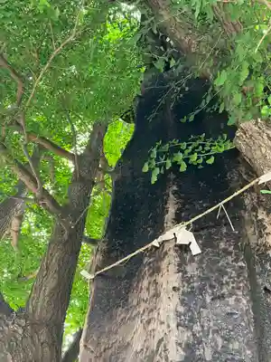 飛木稲荷神社(東京都)