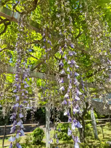 三大神社(滋賀県)