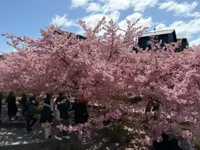 長円寺の{uncategorized: "未分類", other: "その他", undefined: "問題あり", building: "その他建物", grave: "お墓", sacred_gate: "鳥居", guardian: "狛犬", statue: "像", buddha: "仏像", history: "歴史", nature: "自然", garden: "庭園", animal: "動物", pagoda: "塔", temizu: "手水舎", mountain_gate: "山門・神門", sanctuary: "本殿・本堂", subordinate: "末社・摂社", art: "芸術", scenery: "景色", jizo: "地蔵", ema: "絵馬", goshuin: "御朱印", omikuji: "おみくじ", items: "授与品その他", amulet: "お守り", goshuincho: "御朱印帳", eats: "食事", festival: "お祭り", votive_dance: "神楽", shichigosan: "七五三参", wedding: "結婚式", experience: "体験その他", initially: "初詣", around: "周辺", anti_infection: "感染症対策"}