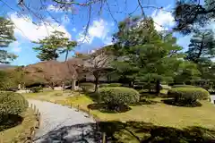 平等院(京都府)