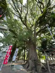 飯野神社(三重県)