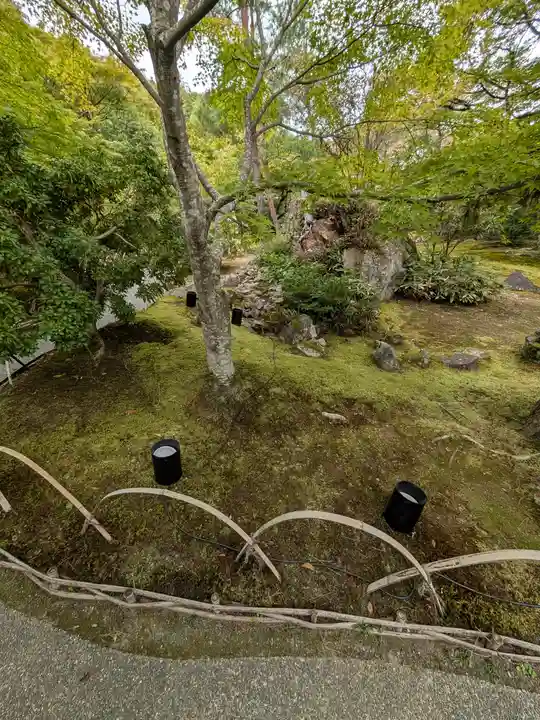 宝厳院(京都府)